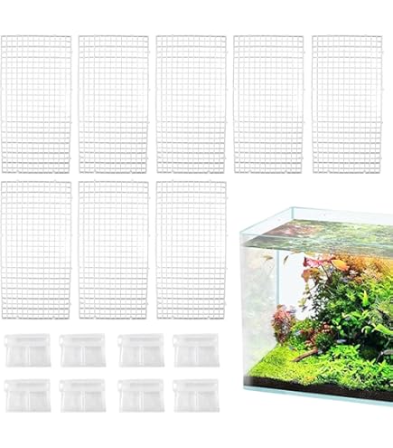 Amazon.com : Mamé Design Blame Overflow M : Pet Supplies